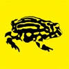 Frogs of Australia