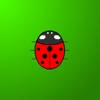 Touch the Ladybird