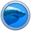 Sharks 3D