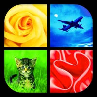 Photo Quiz – What’s the word?