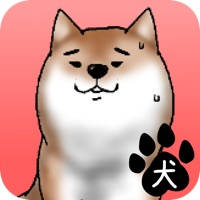 校庭に犬w 校庭に犬w