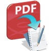 PDF to Text Converter Expert