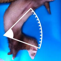 Photo Protractor Photo Protractor