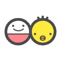 まいにちのたまひよ