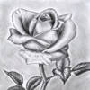 Caricature – the digital drawing app for people who love to draw. Free. Lite.