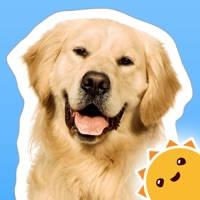 触摸、观看、聆听 ~ 我的识字应用