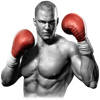 Real Boxing™ Real Boxing™
