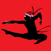 Ninja or Santa – Christmas Fun