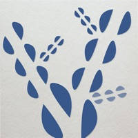 Reflect Daily Reflect Daily