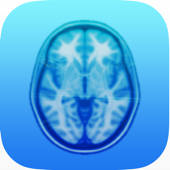 Brain Trainer