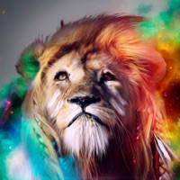 Wallpapers Collection Premium Wallpapers Collection Premium