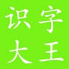 小学识字大王训练 小学识字大王训练