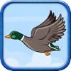 Flying Duckling
