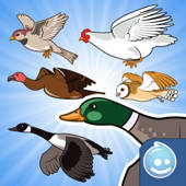 Happy Aviary Adventure – Pick your bird game!