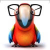Kids Trivia Quiz