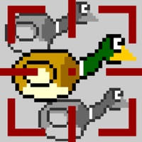 Duck Season Duck Season
