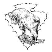 Traditional Bowhunter Magazine Traditional Bowhunter Magazine