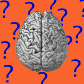 Philosophies and Ideologies