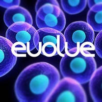 evolve – Puzzle Game evolve – Puzzle Game