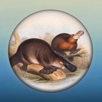 Field Guide to NSW Fauna