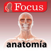 Junior Anatomía