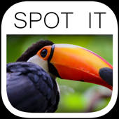 Spot the Difference Image Hunt Puzzle Game – Paradise Edition