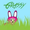 Grassy Grassy