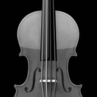 Real Strings Real Strings