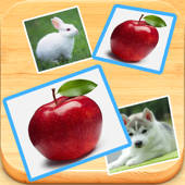Find Double – Matching pair game with cute photos