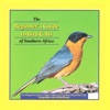 Beginner’s Guide to Bird Calls