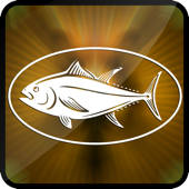 3D Bass Fishing Extreme River Juggle Flick
