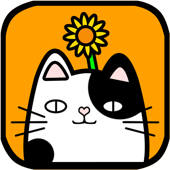 DizzyMeow
