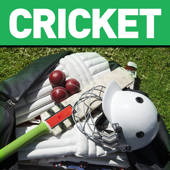 Cricket Summer Guide Cricket Summer Guide