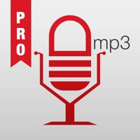 Mp3 Recorder Pro：注意