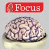 NEUROANATOMY – Digital Anatomy