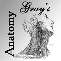 Gray’s Anatomy 2014