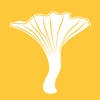 Mush – Mushroom Hunter