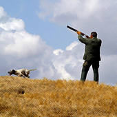 Hunting – birdcall birdsong