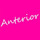 Anterior鍼灸整骨院