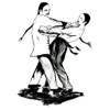 Wing Chun Techniques Wing Chun Techniques