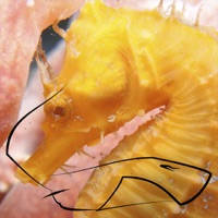 Keat Ooi Photography Keat Ooi Photography