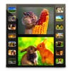 Photo Video – Photo Slideshow