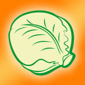 Lettuce Toss It Lettuce Toss It