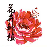 园艺工坊-花卉草木种植 园艺工坊-花卉草木种植