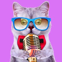 Funny Voice Changer Effects Funny Voice Changer Effects