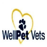WellPet Vets