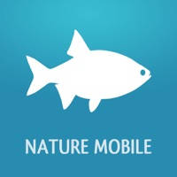 Fishes PRO – Field Guide