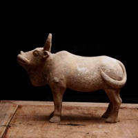 炒股赚钱秘籍 炒股赚钱秘籍