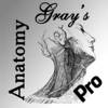 Gray’s Anatomy Pro 2014