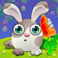 Rabbit Tap Hop